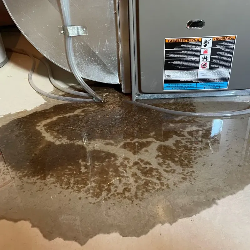 Pipe Burst and Leak Restoration in South Windsor, CT